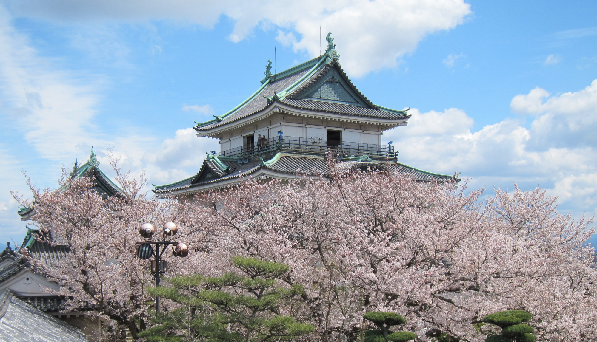和歌山市近郊區域：日本的城堡、庭院及和和歌山美食很受歡迎
