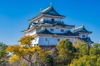 介紹和歌山市近郊地區的景點！從和歌山城、遊艇城等景點到美食，提供詳盡的觀光資訊！