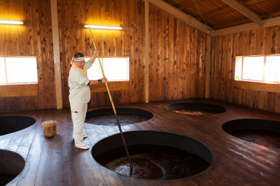 All the best of Wakayama’s gourmet treats and souvenirs! An introduction to our traditional dishes and specialty products