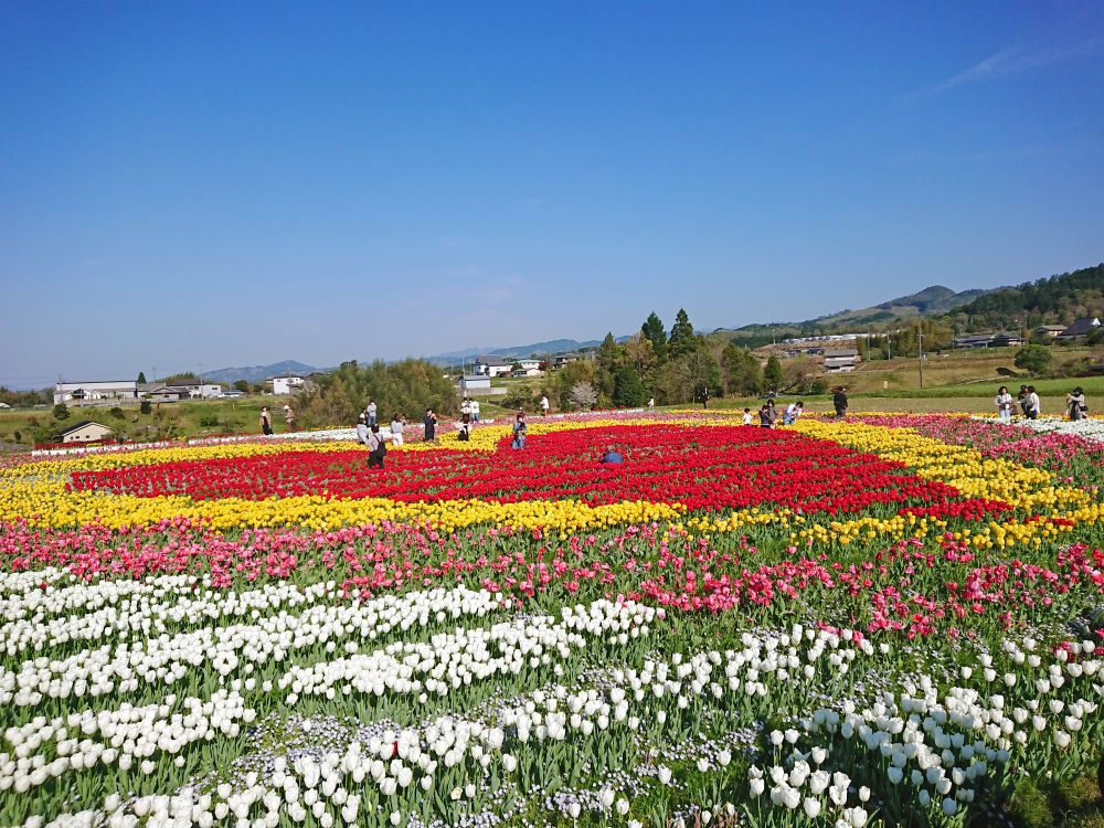 Tour the spring flowers in the fragrant air