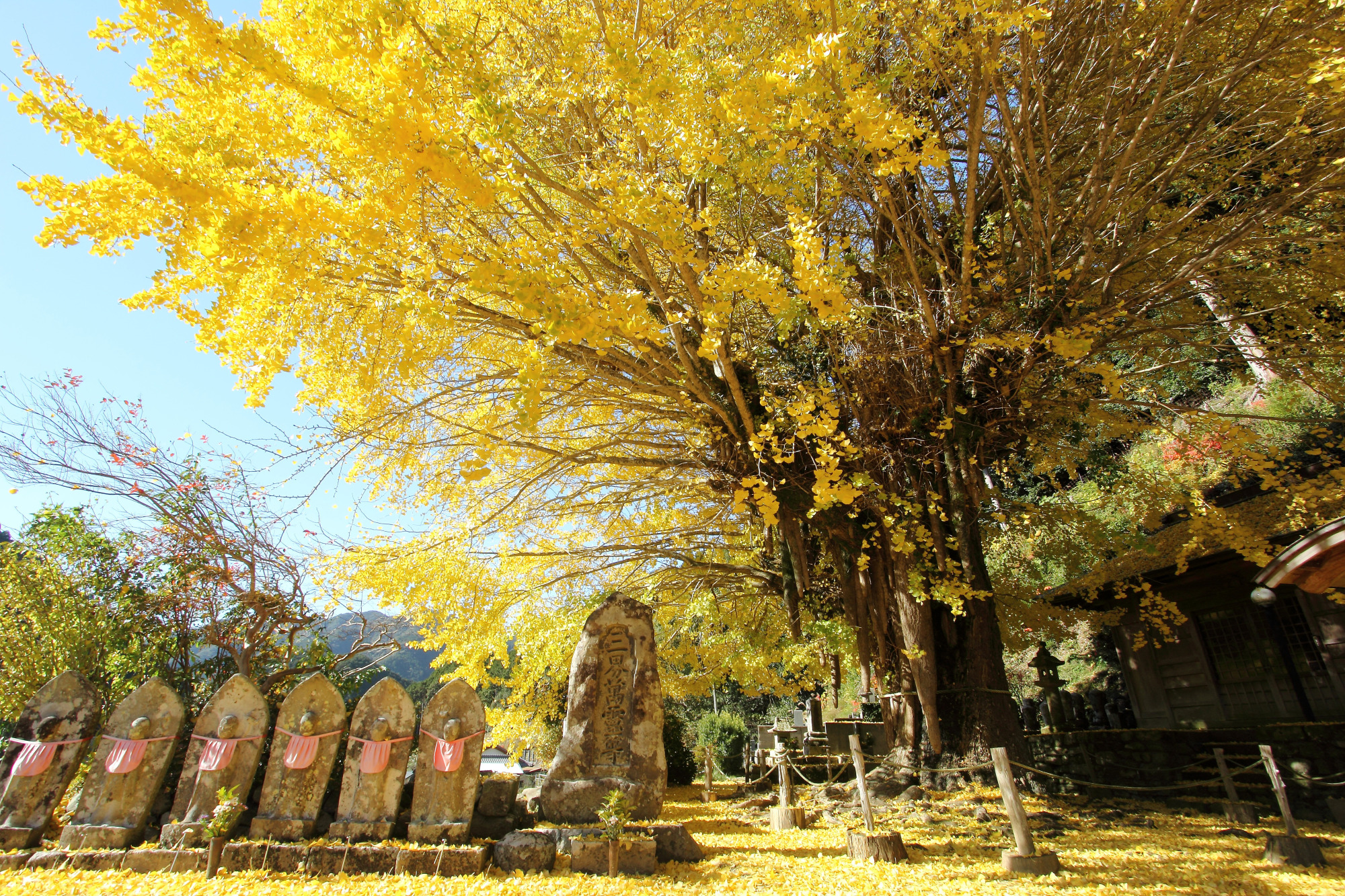 Recommendations of the seasonThe five top spots to view vivid autumn foliage