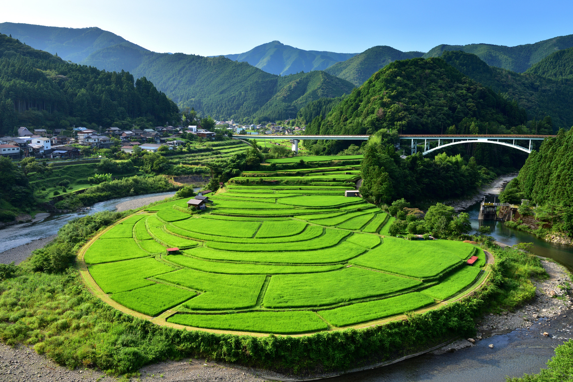 蘭島及生石高原等有田川町的看點大集合！一口氣介紹推薦美食及景點