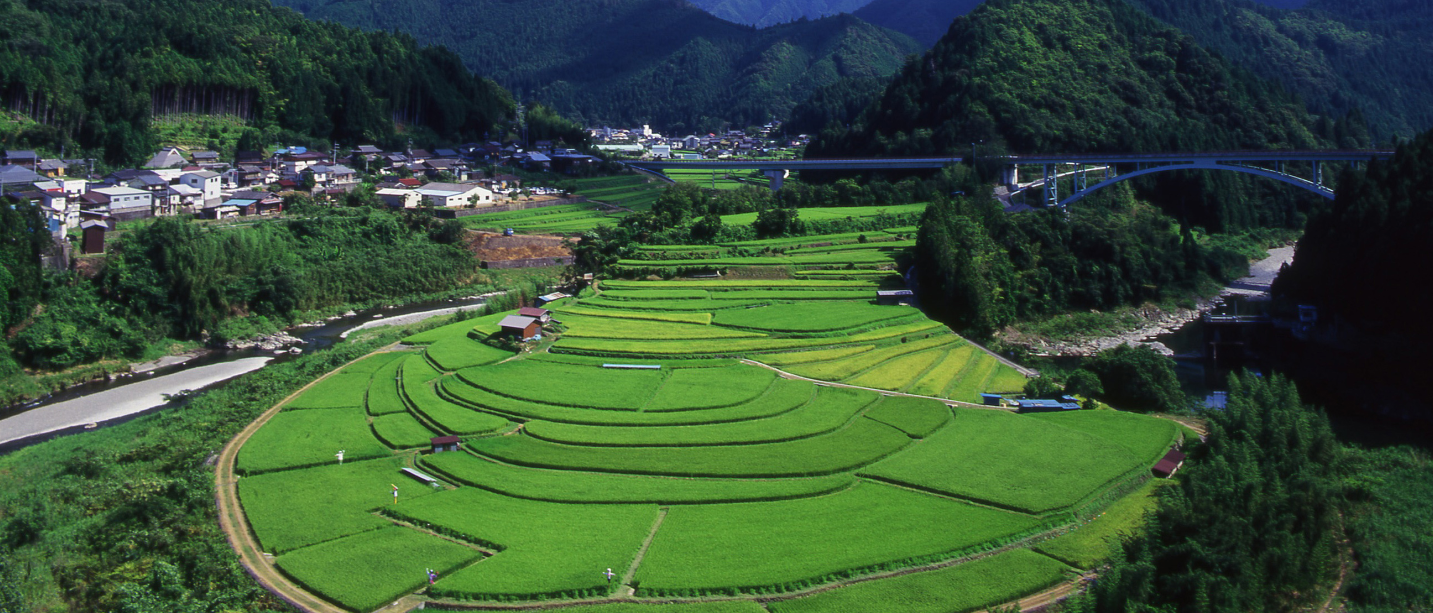 Wakayama WEEK ーWakayama's agricultural heritage and rice terracesー