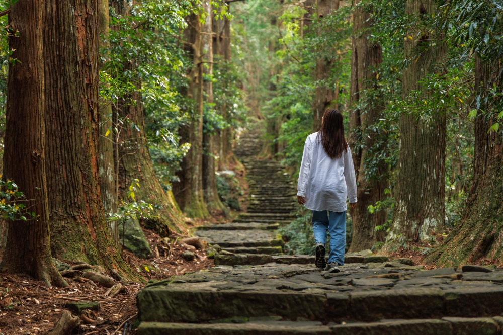 Journey along the remains of the Kumano Goko: Walk the Kumano Kodo, road of prayer
[Goshuin (Seal Stamp) Tour of the Kumano Goko]