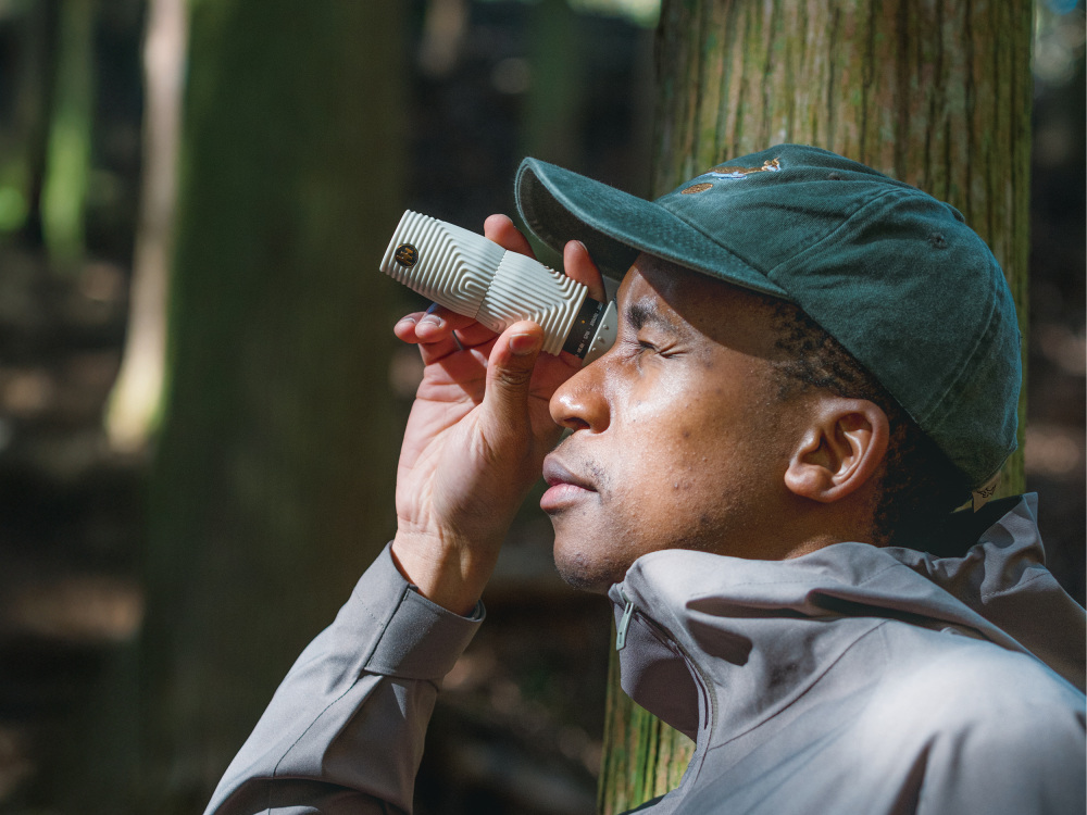 [A Birding Journey Through Wakayama]
KUMANOKODO KIIJI
Spring settles over the rural hillside, where the birds live close and strong.