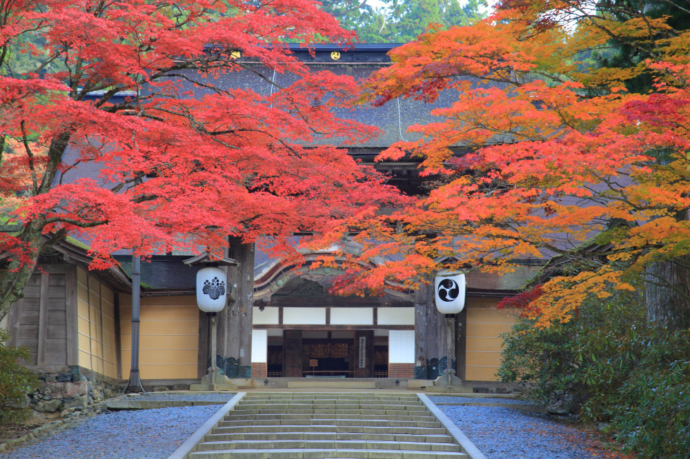 The History of Aridagawa Town, Developed Alongside Mt. Koya