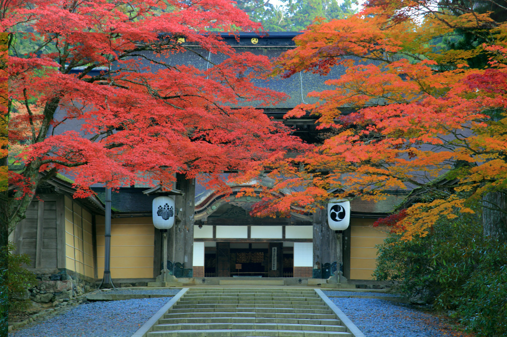 與高野山一同發展的有田川町歷史