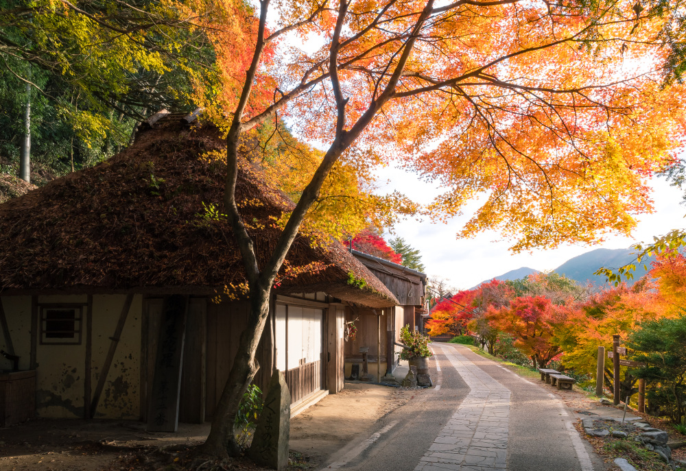四季都適合前來觀景的拍照點