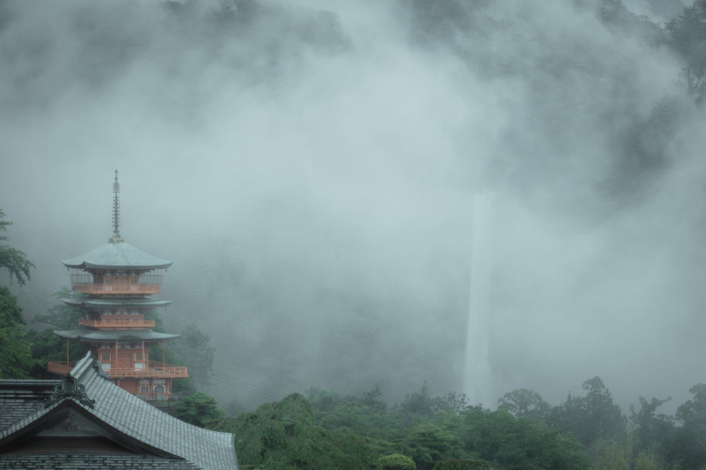 Otherworldly scenes early in the morning and in the evening are not to be missed 