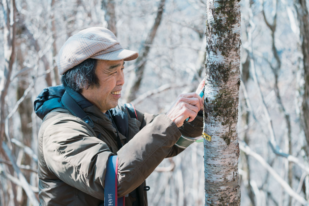 Our guide for this route was Susumu Nakamura, a former high school teacher with deep knowledge not only of birds, but also plants and insects. He explained bird ecology within the broader natural environment of Mt. Gomadan.