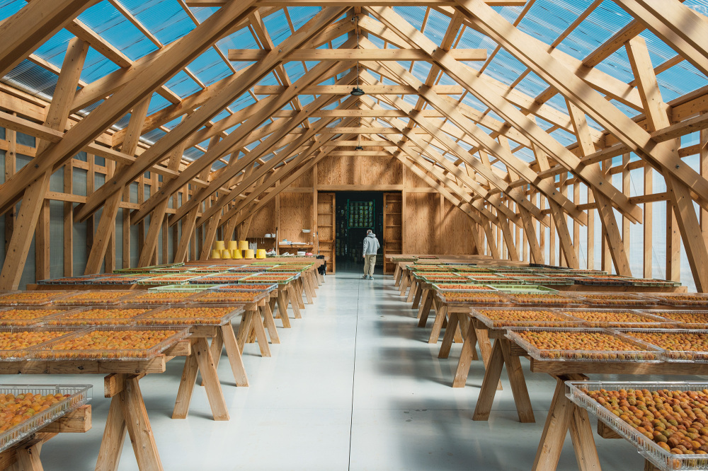 A work shed where harvested Nanko Ume are sun-dried. Built entirely from Kishu-grown cedar.