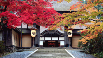 Koyasan to Kumano: the Ultimate Wakayama Itinerary