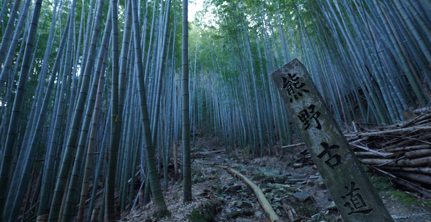 Kumano Kodo Kiiji Itineraries