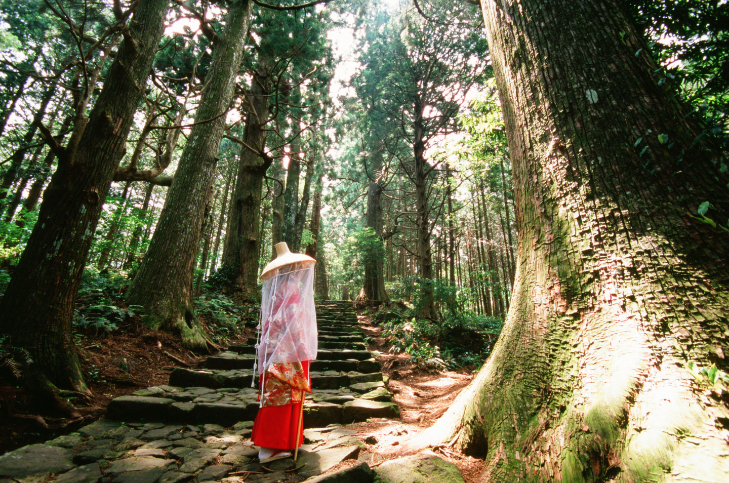 從伊勢神宮前往熊野古道！日本著名聖地巡禮 ～走訪熊野三山三天兩夜之旅～