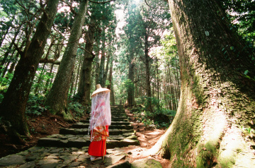 從伊勢神宮前往熊野古道！日本著名聖地巡禮 ～走訪熊野三山三天兩夜之旅～