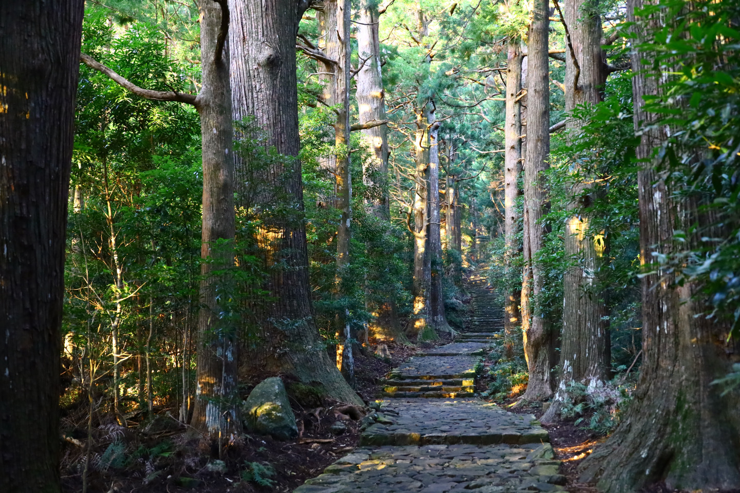 From Daimonzaka to Kumano Nachi Taisha, Nachisan Seiganto-ji Temple, and Nachi Falls! Explore one of the most popular routes along the Kumano Kodo on this 3-hour walking itinerary.