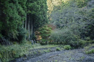 Day 3: Chikatsuyu to Kumano Hongu Taisha and Oyunohara (25.7 km)