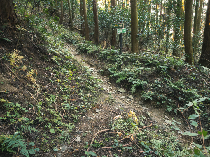 [ Undefined: coursed-title-nl2br ]