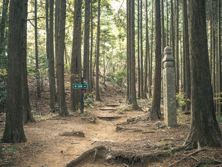 [ Undefined: coursed-title-nl2br ]