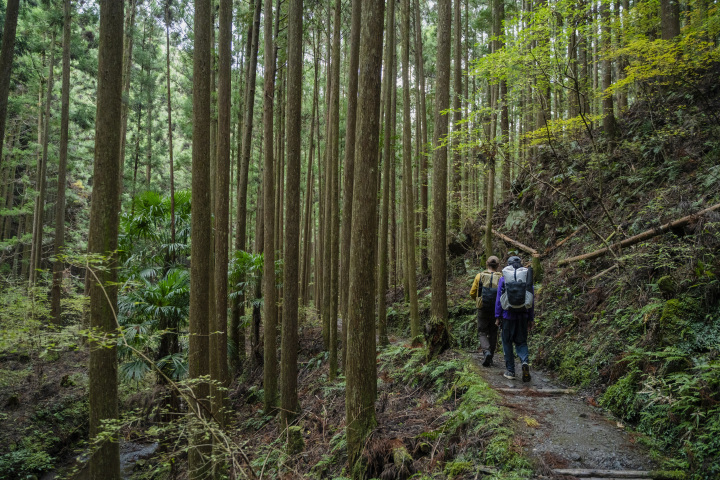 [ Undefined: coursed-title-nl2br ]