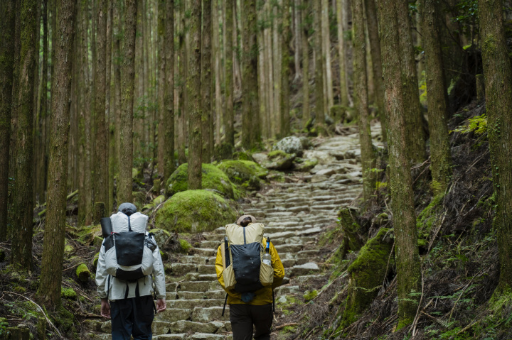 [ Undefined: coursed-title-nl2br ]