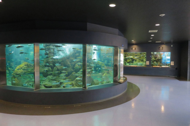 Kyoto University Shirahama Aquarium