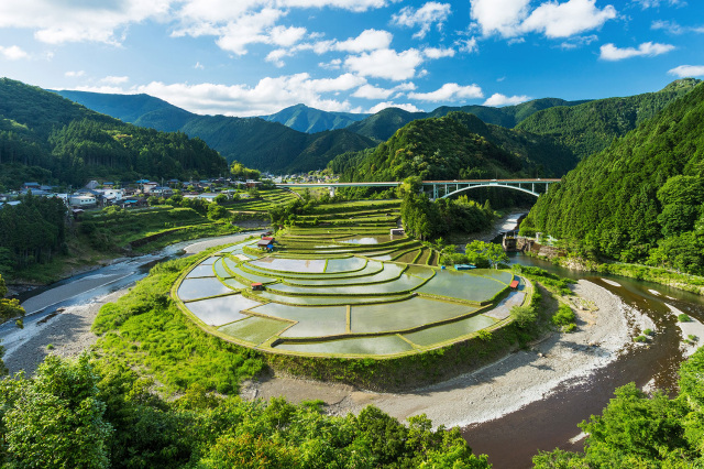 Aragi-jima Island Rice Terraces