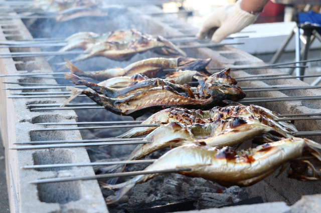 Gyogyotto Fish Festival
