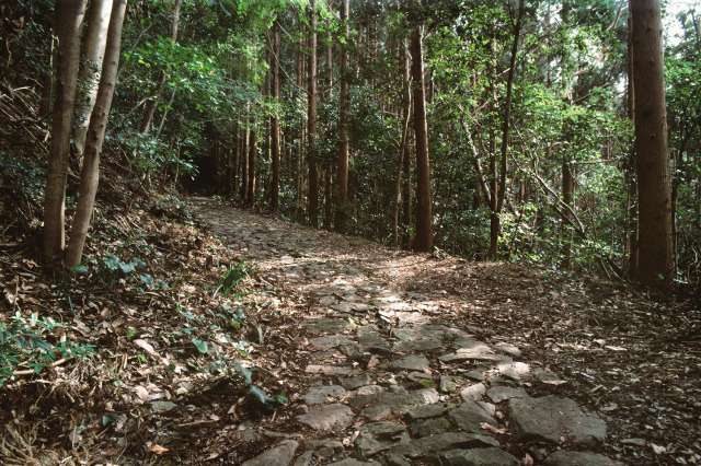 Shishigase-toge Pass, Kiiji route, Kumano Kodo