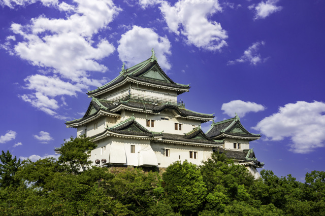 Wakayama Castle