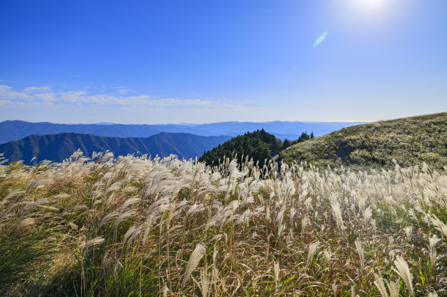 Oishi-kogen Highland