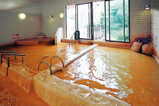 Hanayama Onsen Yakushi-no-Yu