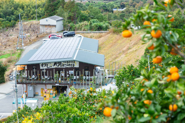 觀音山水果沙龍