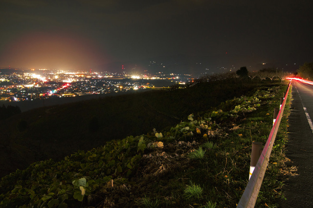 果園景觀道路 (Fruit Line)