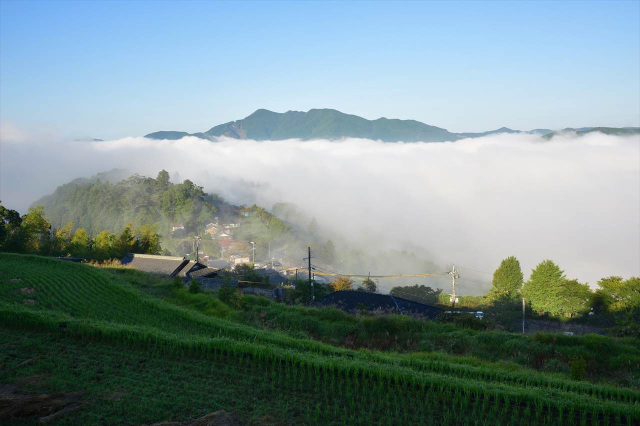 Daybreak in Kumano