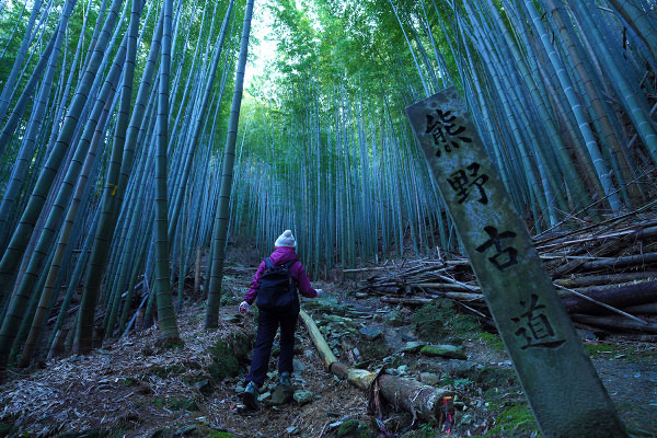 Kumano Kodo Kiiji Itineraries