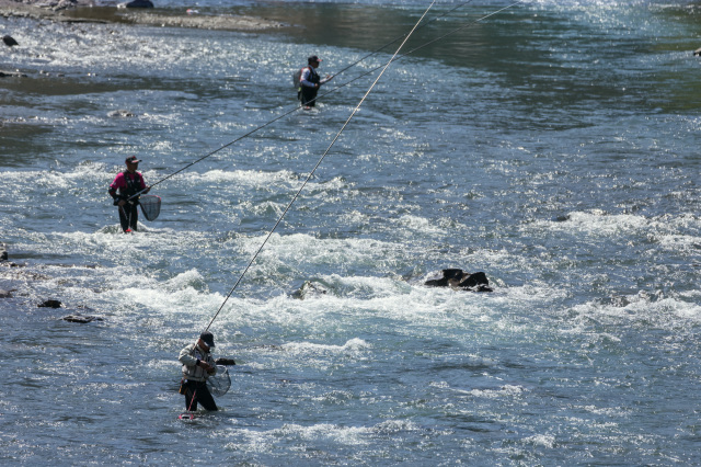 July: Ayu Sweetfish Fishing