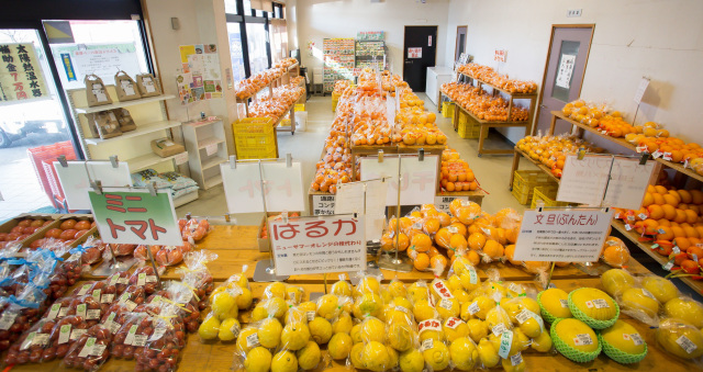 December: Mikan Oranges