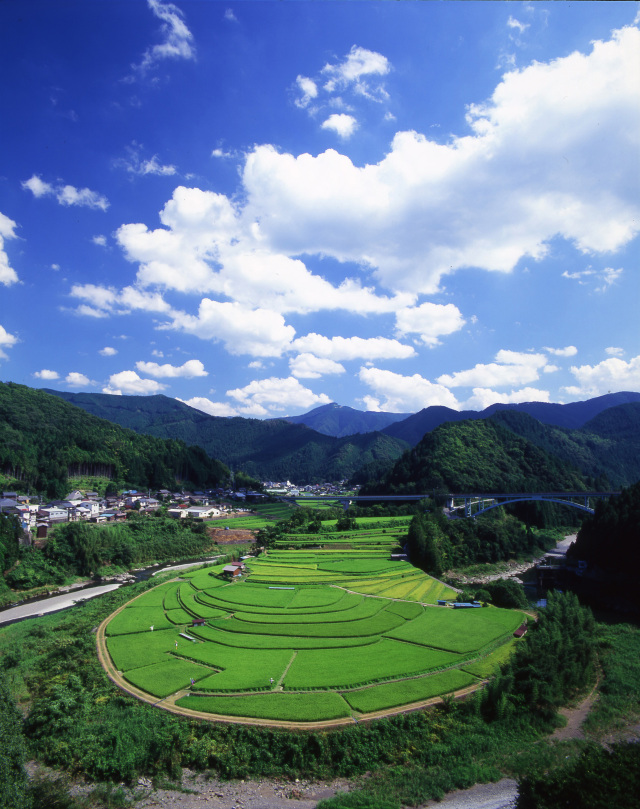 Wakayama's agricultural heritage and rice terraces