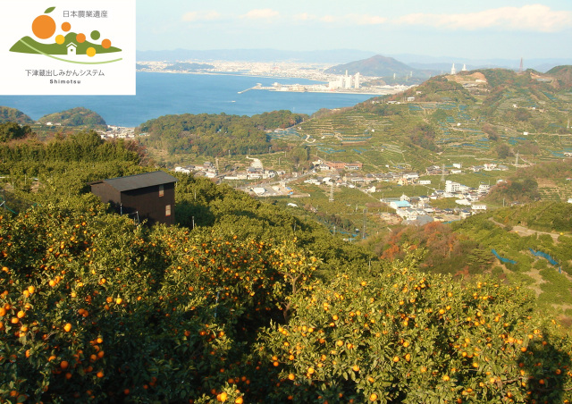 Kainan City, Shimotsu Region　Japanese Nationally Important Agricultural Heritage System "Shimotsu Storehouse-Ripened Mandarin System"