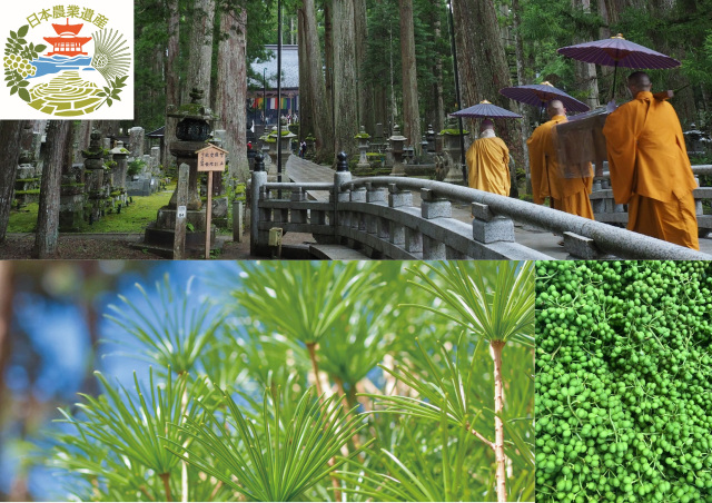 Koya, Hanazono, Shimizu Region　Japanese Nationally Important Agricultural Heritage System "Sacred Site of Mt. Koya and the Sustainable Agriculture and Forestry System in the Upstream Reaches of Arida River"