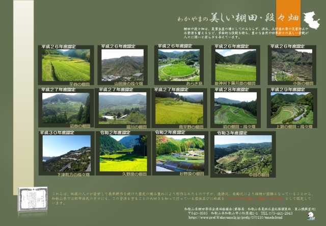 Wakayama's Beautiful Rice Terraces and Terraced Fields