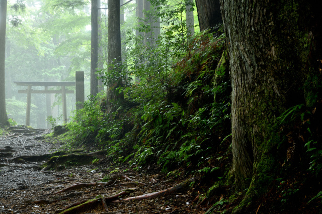 熊野古道（發心門王子）