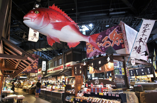 Introducing the must-see spots around the Wakayama City area! Find a plethora of recommended info, from destinations like Wakayama Castle and Marina City to gourmet cuisine!