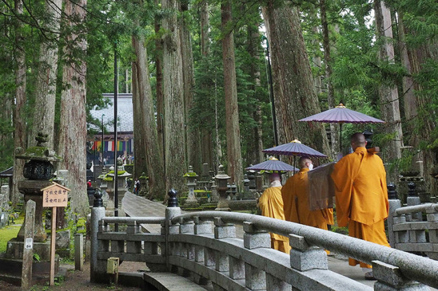What is Koyasan, a World Heritage Site? A thorough breakdown of its diverse charms: highlights, history, shukubo temple lodgings, and more!