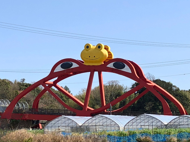 Information on Nearby Attractions