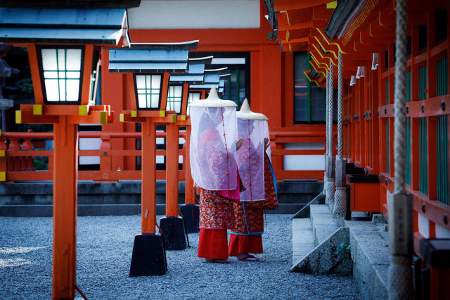 What are the Kumano Kodo Pilgrimage Routes? Head on a journey with picturesque World Heritage sites and a sense of history. Introducing ways to make the most of your trip, itineraries, and trekking recommendations.