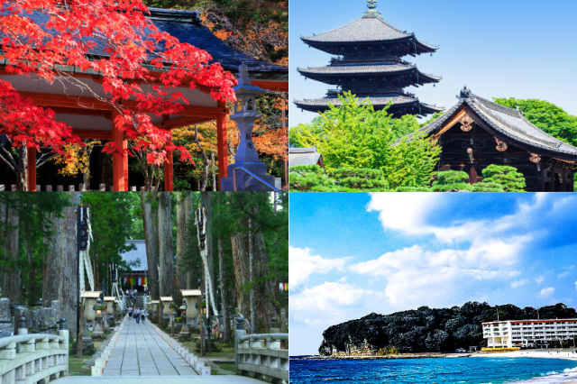 從京都到高野山、熊野、白濱的旅行