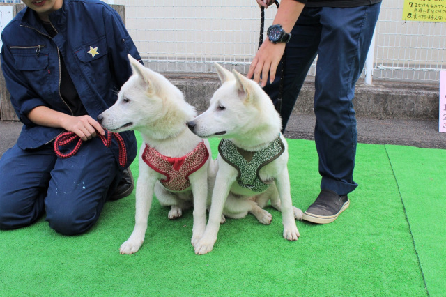 Wakayama Castle Park Zoo