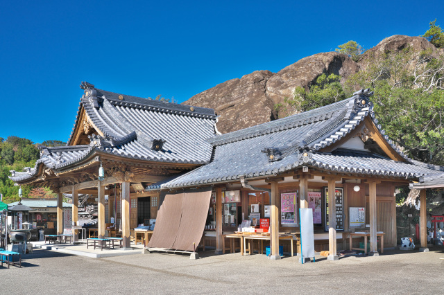 Sukuma-dani Kannon Temple (Hydrangea)